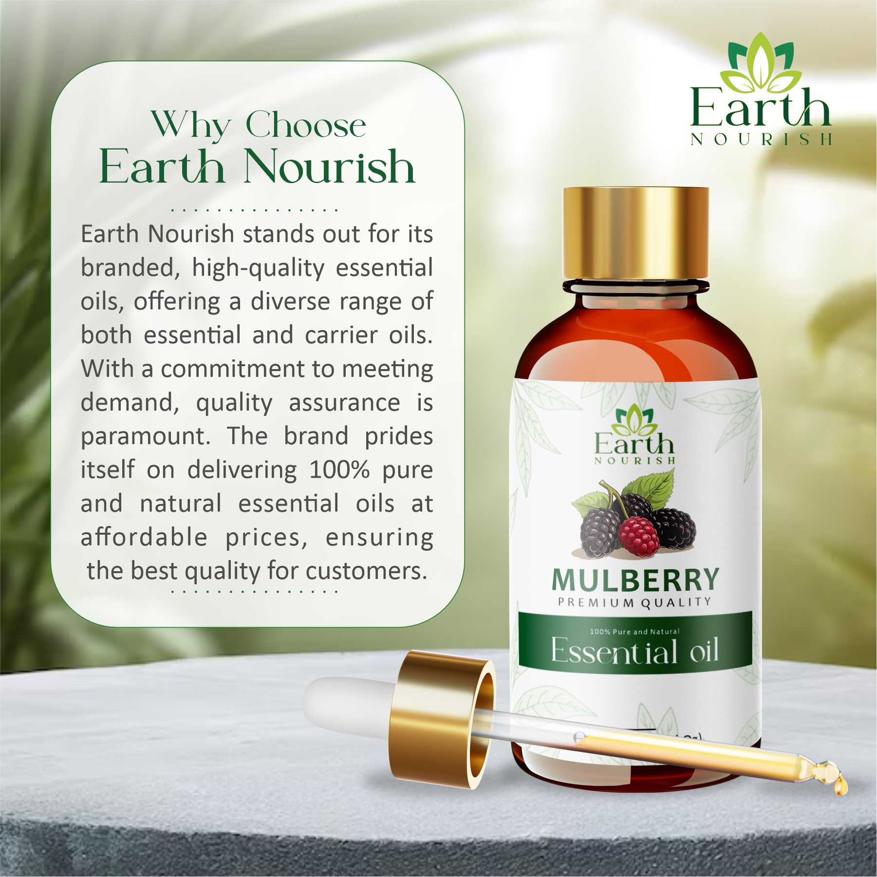 Mulberry Oil 50ml – Pure & Natural Carrier Oil for Skin Brightening & Even Complexion | Earth Nourish