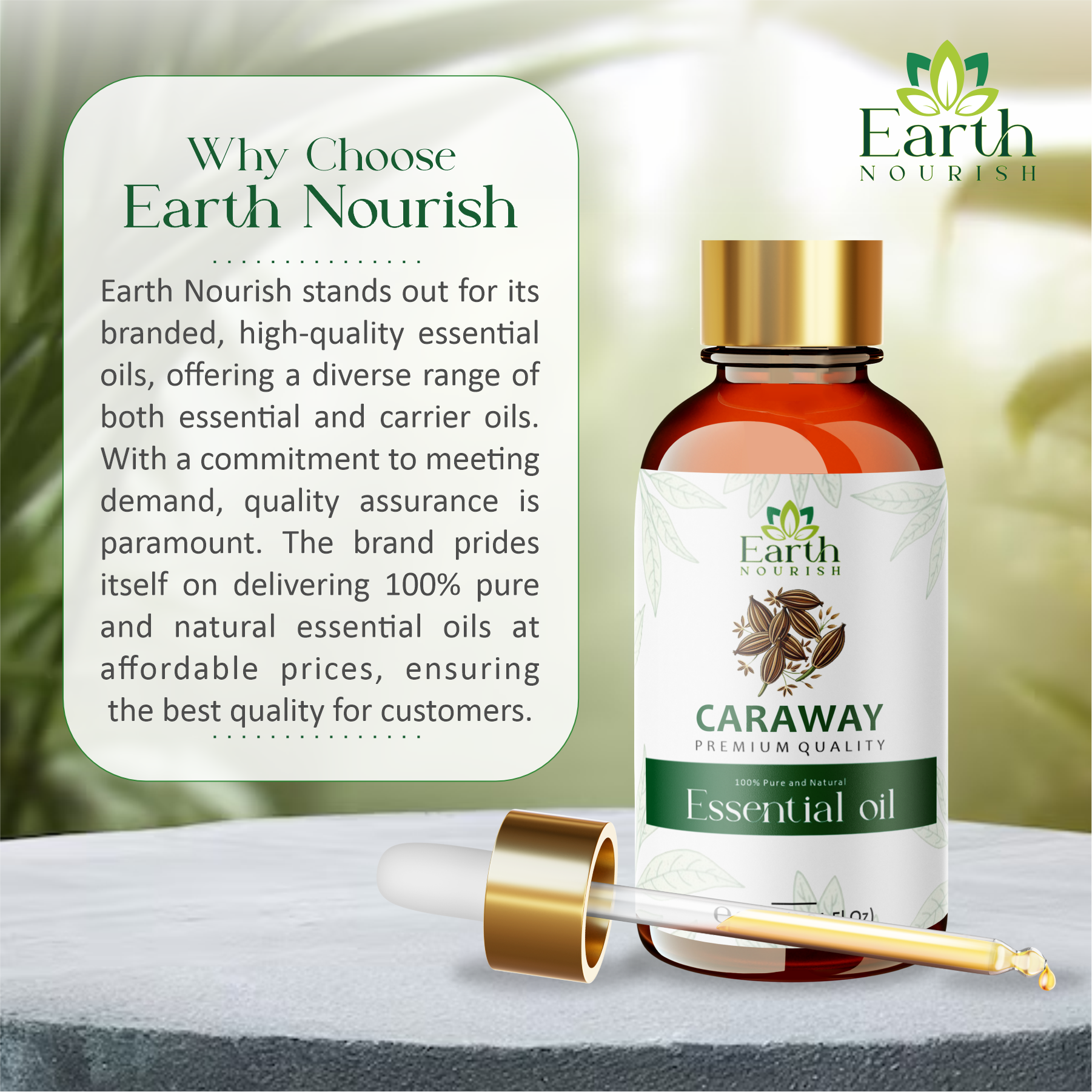 Caraway Oil 50ml – Pure & Natural Essential Oil for DIY & Aromatherapy | Earth Nourish