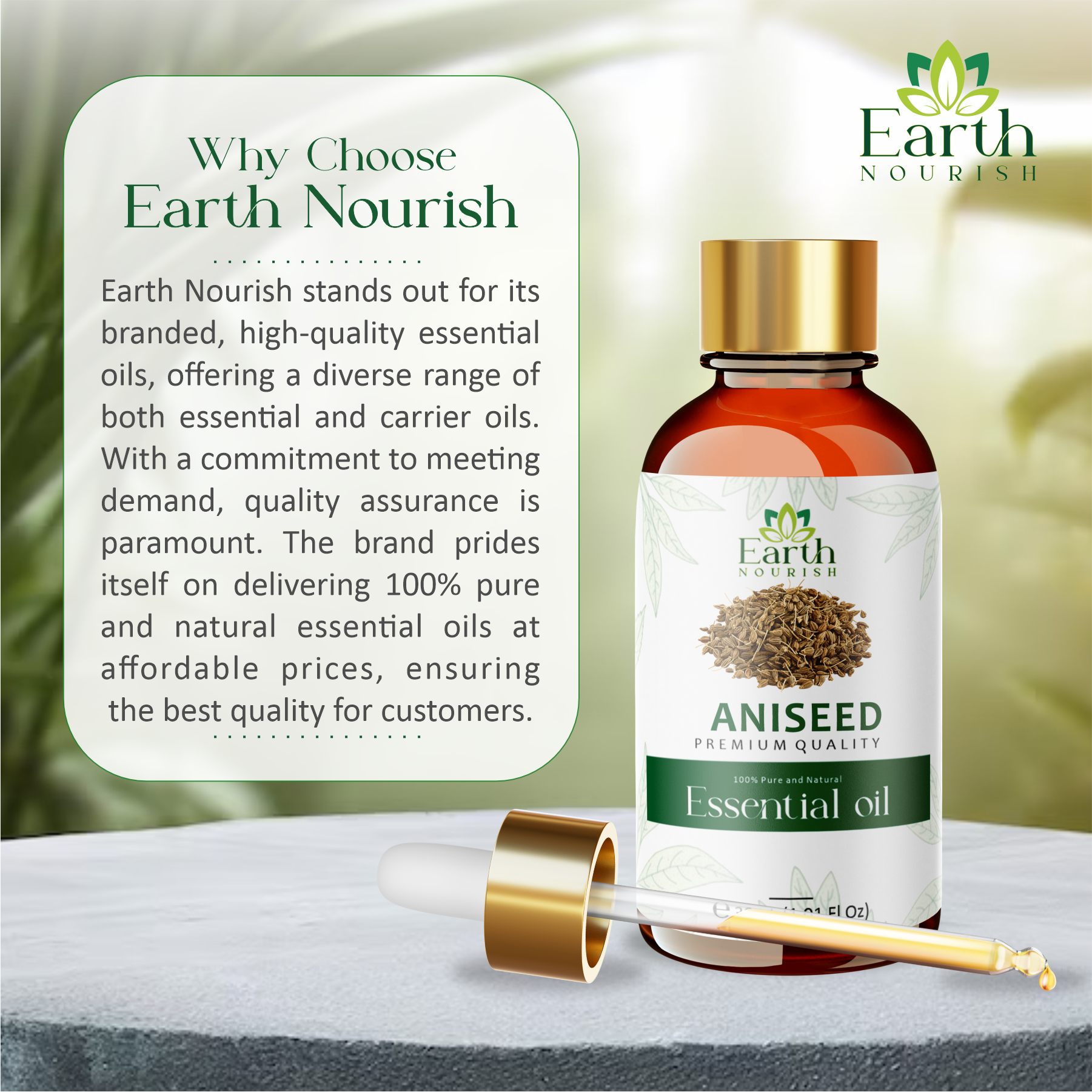 Aniseed Oil 50ml – Pure & Natural Essential Oil for DIY & Aromatherapy | Earth Nourish